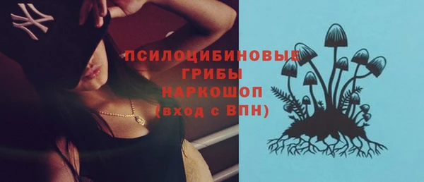 mdpv Горно-Алтайск