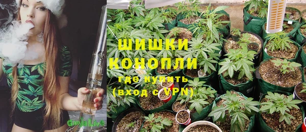 mdpv Горно-Алтайск
